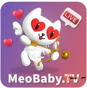 Tải MeoBaby TV App Mod Apk v1.1.522 – Unlocked ROOM